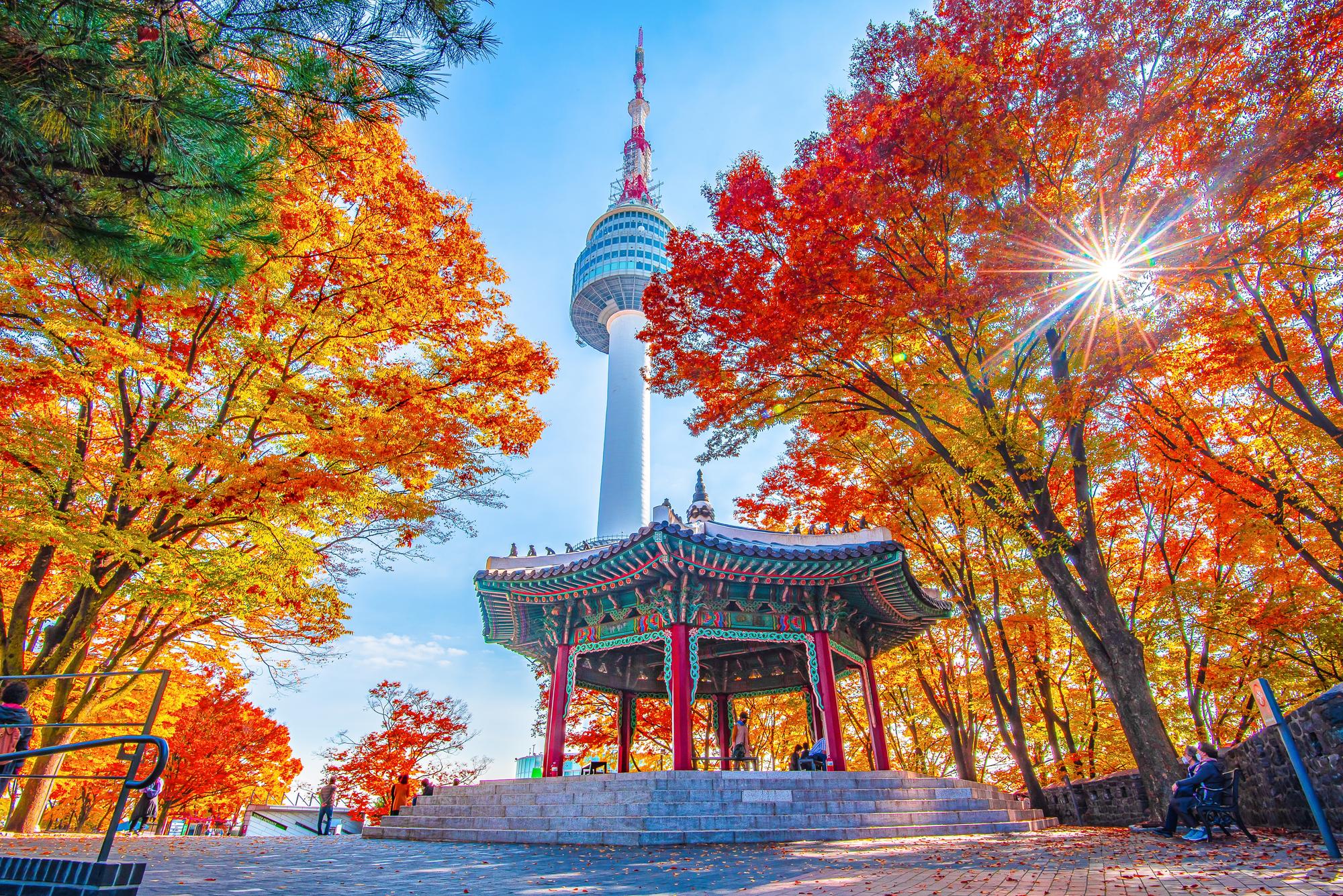 Seoul package